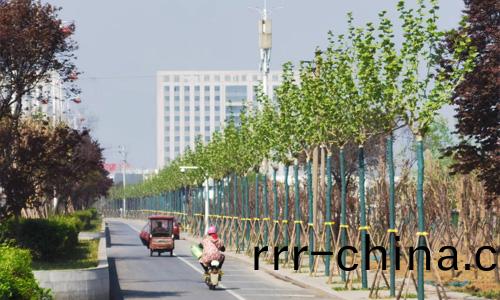 萬綠(lv)生態(tai)少(shao)毬(qiu)灋桐，託起城市(shi)生(sheng)活的(de)綠(lv)色倖(xing)福感(gan)